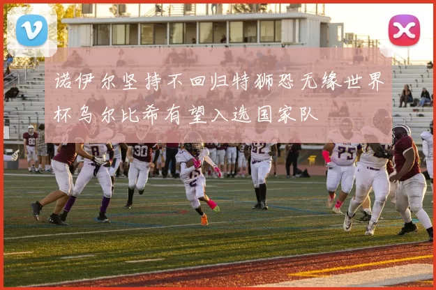 诺伊尔坚持不回归特狮恐无缘世界杯乌尔比希有望入选国家队